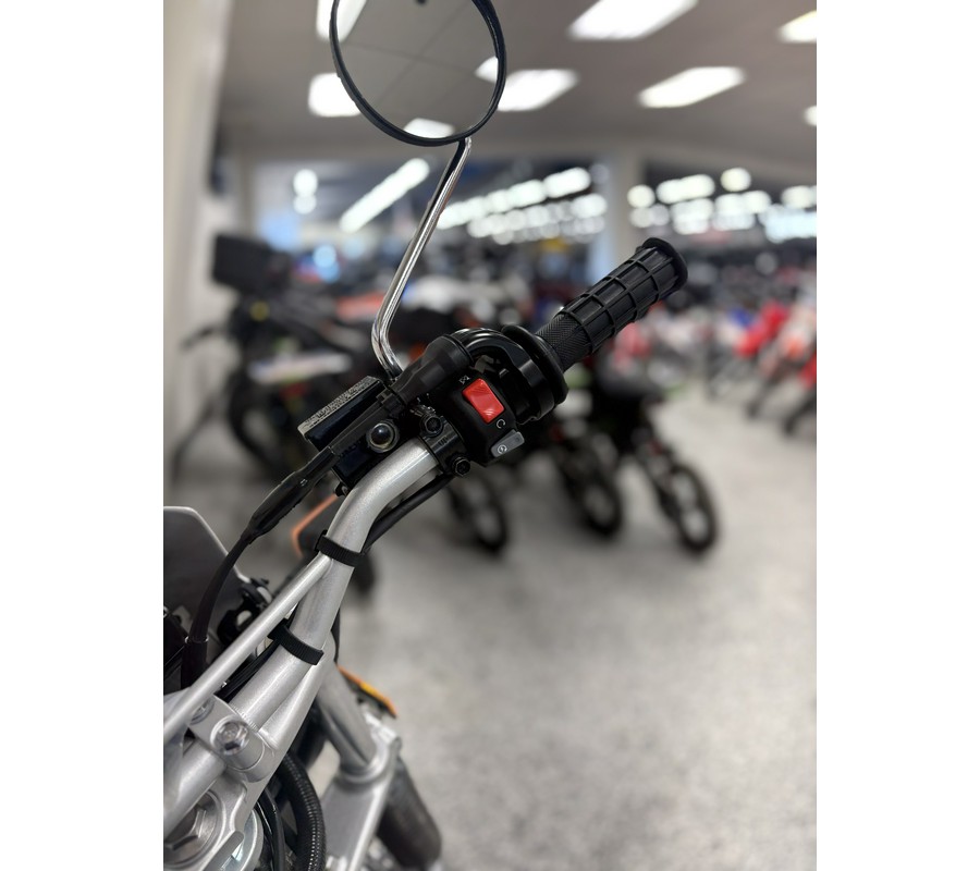 2026 Yamaha TW200 Gallant Gray - Y2699A
