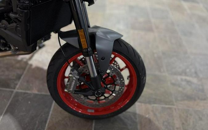 2025 Ducati Monster Plus Aviator Grey