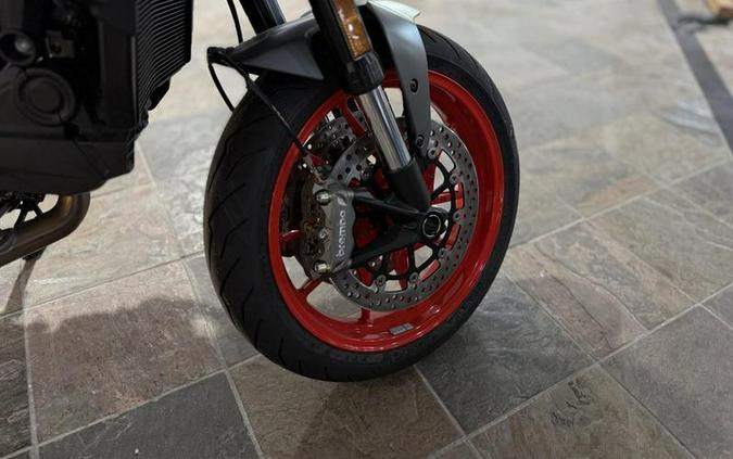 2025 Ducati Monster Plus Aviator Grey