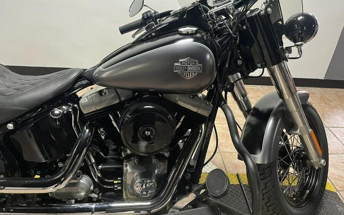 2014 Harley-Davidson® FLS103