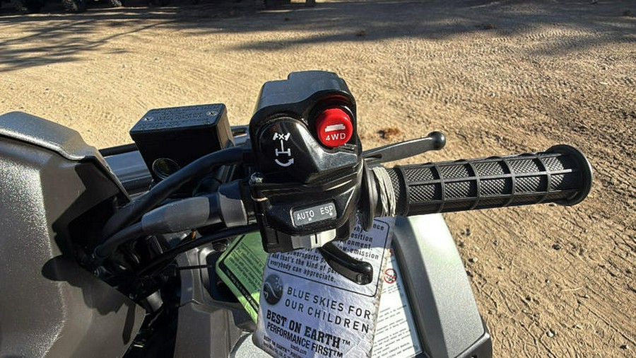 2025 Honda® FourTrax Foreman Rubicon 4x4 Automatic DCT EPS Deluxe