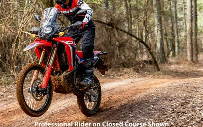 2023 Honda CRF300L Rally