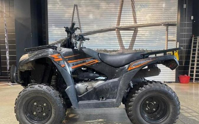 2018 Kawasaki Brute Force® 300