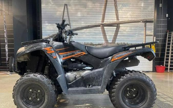 2018 Kawasaki Brute Force 300