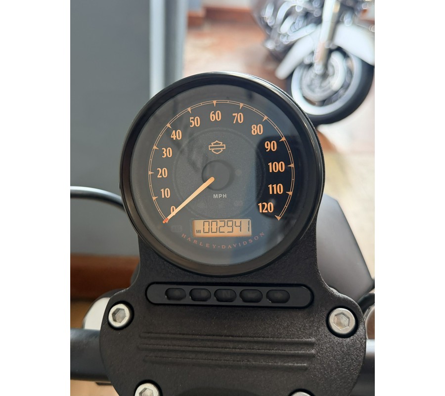 2022 Harley-Davidson Iron 883™