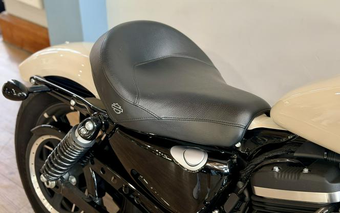 2022 Harley-Davidson Iron 883™