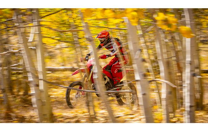 2026 Ducati Desmo450 EDX