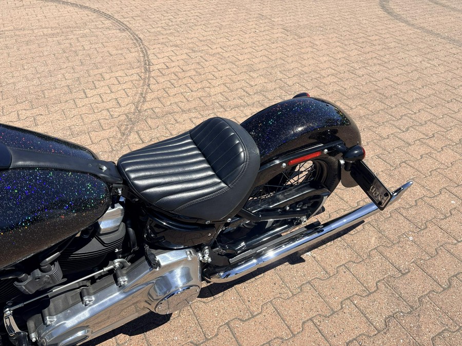 FLSL 2021 Softail Slim®