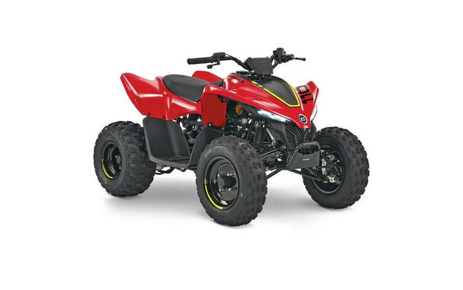 2024 CFMOTO CF110