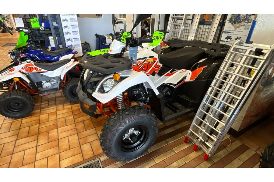 2025 Kayo Bull 300 EFI