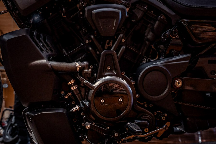 2026 Harley-Davidson Sportster Nightster