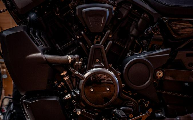 2026 Harley-Davidson Nightster