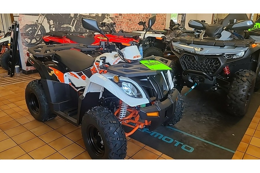 2025 Kayo Bull 300 EFI