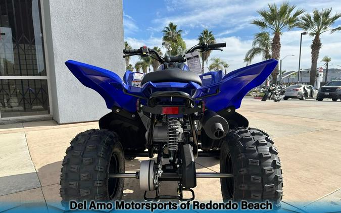 2025 Yamaha RAPTOR 110