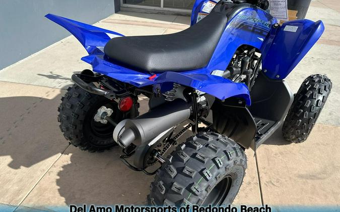 2025 Yamaha RAPTOR 110