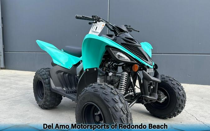 2025 Yamaha RAPTOR 110