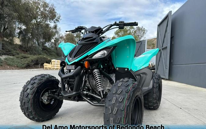 2025 Yamaha RAPTOR 110