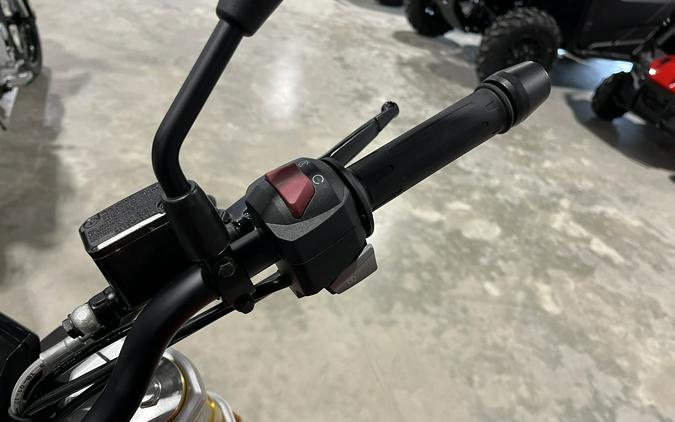 2019 G 310 R - BMW