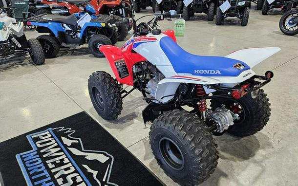 2026 Honda TRX 250X