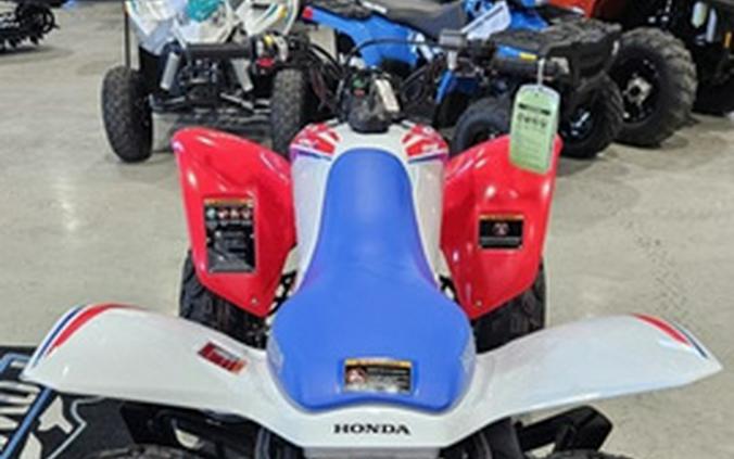 2026 Honda TRX 250X
