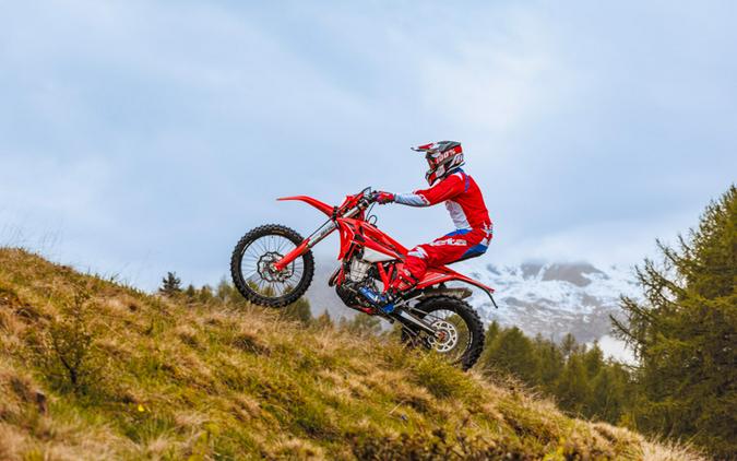 2026 BETA RR X-Pro 390 4-Stroke