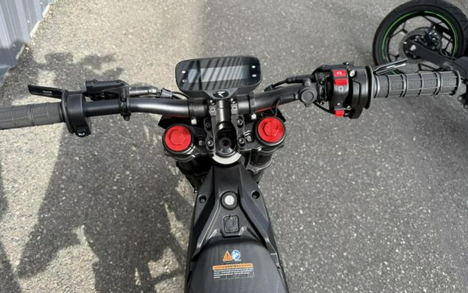 2025 Rawrr MANTIS MINI R 17