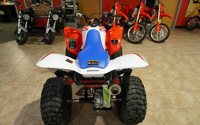 2026 Honda TRX250XT