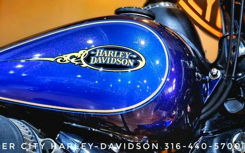 USED 2009 Harley-Davidson® Dyna® Low Rider®, FXDL