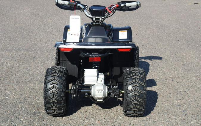 2026 Denago Powersports E-Hawk 6