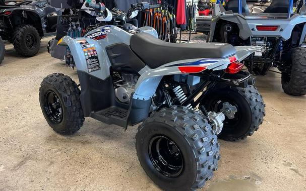 2026 Polaris® Phoenix 200