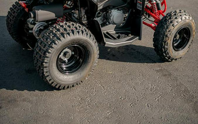 2026 Can-Am® Renegade X xc 110 EFI