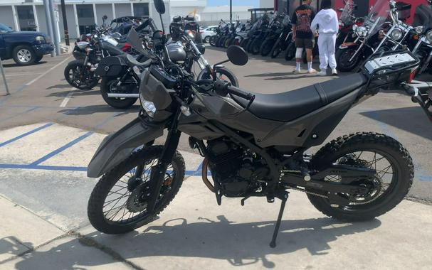 2026 Kawasaki KLX230 DF ABS