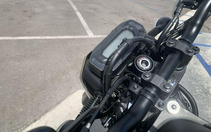 2026 Kawasaki KLX230 DF ABS