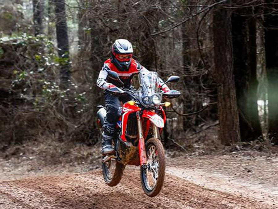 2024 Honda CRF300L Rally