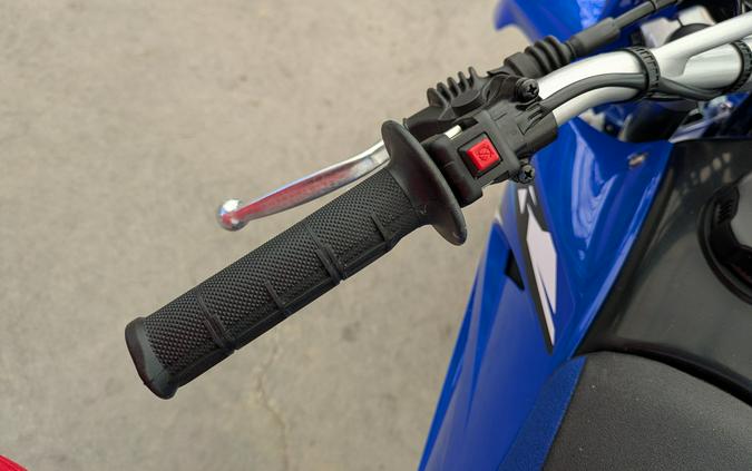 2026 Yamaha TT-R230