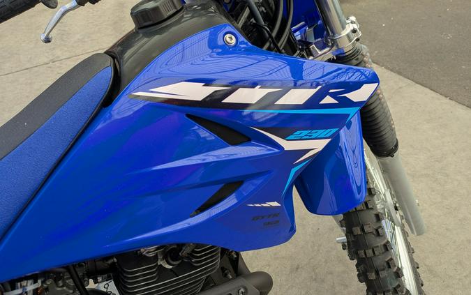 2026 Yamaha TT-R230