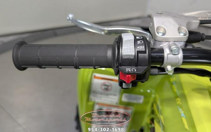 2026 Yamaha Raptor 700R SE