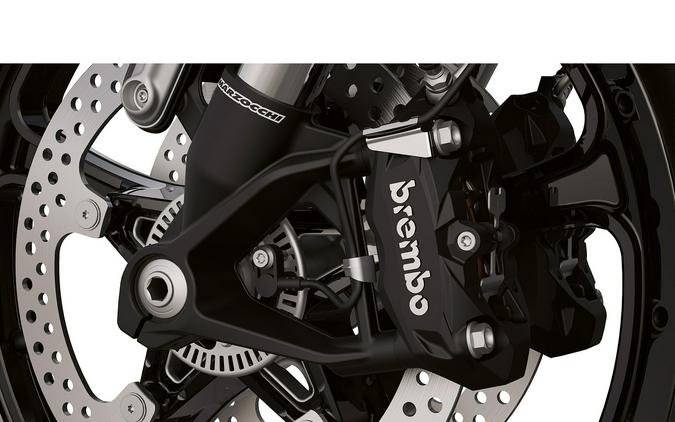 2025 BMW R 12