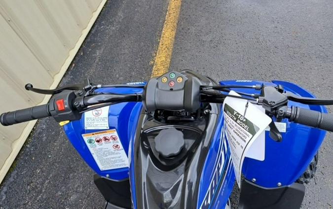 2026 Yamaha Raptor 110