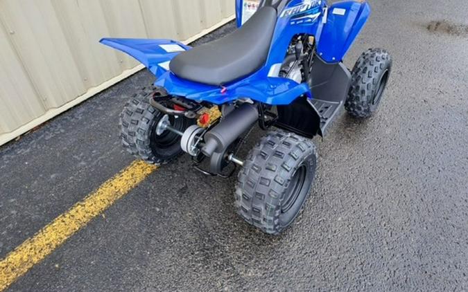 2026 Yamaha Raptor 110