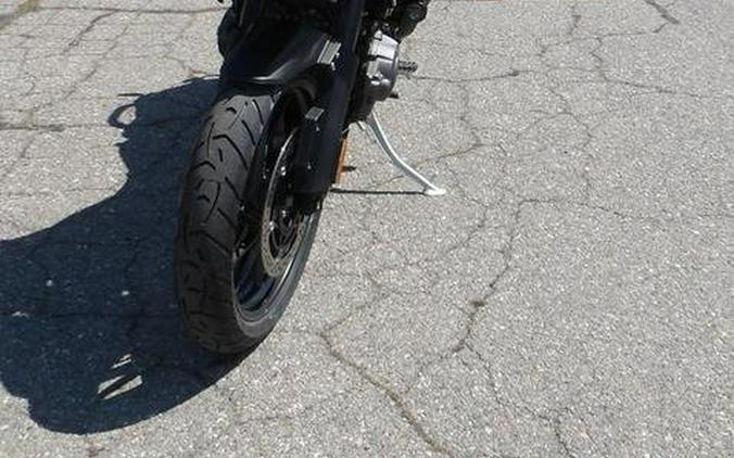 2025 TRIUMPH TIGER 1200 GT PRO
