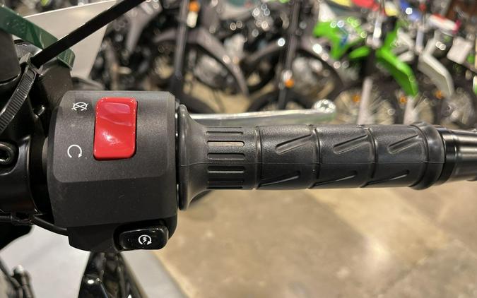 2025 Kawasaki Z650