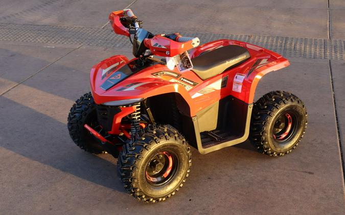 2026 Denago Powersports E-Hawk 6