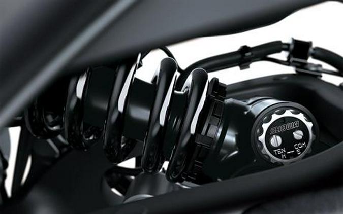 2026 Kawasaki Ninja ZX-10R ABS