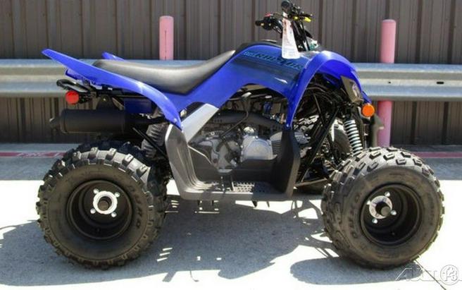 2024 Yamaha Raptor 110