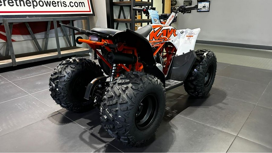 2024 kayo Predator 125