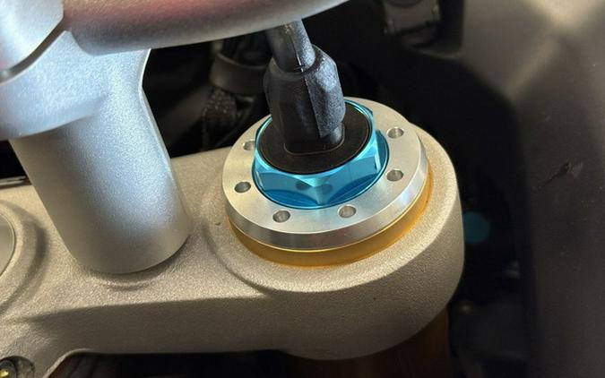 2025 Ducati Multistrada V4 RS