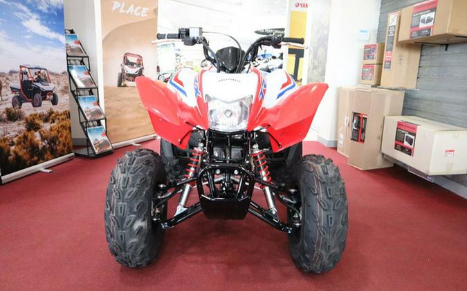 2026 Honda TRX 250X