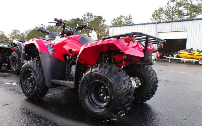 2024 Honda® Fourtrax Recon