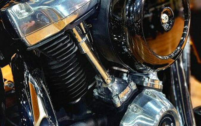 USED 2019 Harley-Davidson® Softail Slim®, FLSL